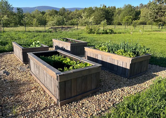 Srebrna Chata, Gory Izerskie, Izerska Laka Apartment Wolimierz
